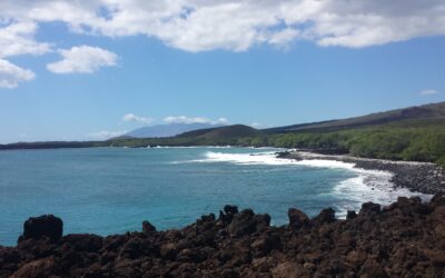 Maui Real Estate Statistics and Report YTD July 2014