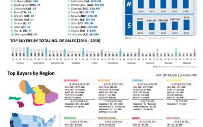 Maui County and Hawaii Buyer Statistics: Foreign and Mainland USA Buyers 2018 First Half of the Year