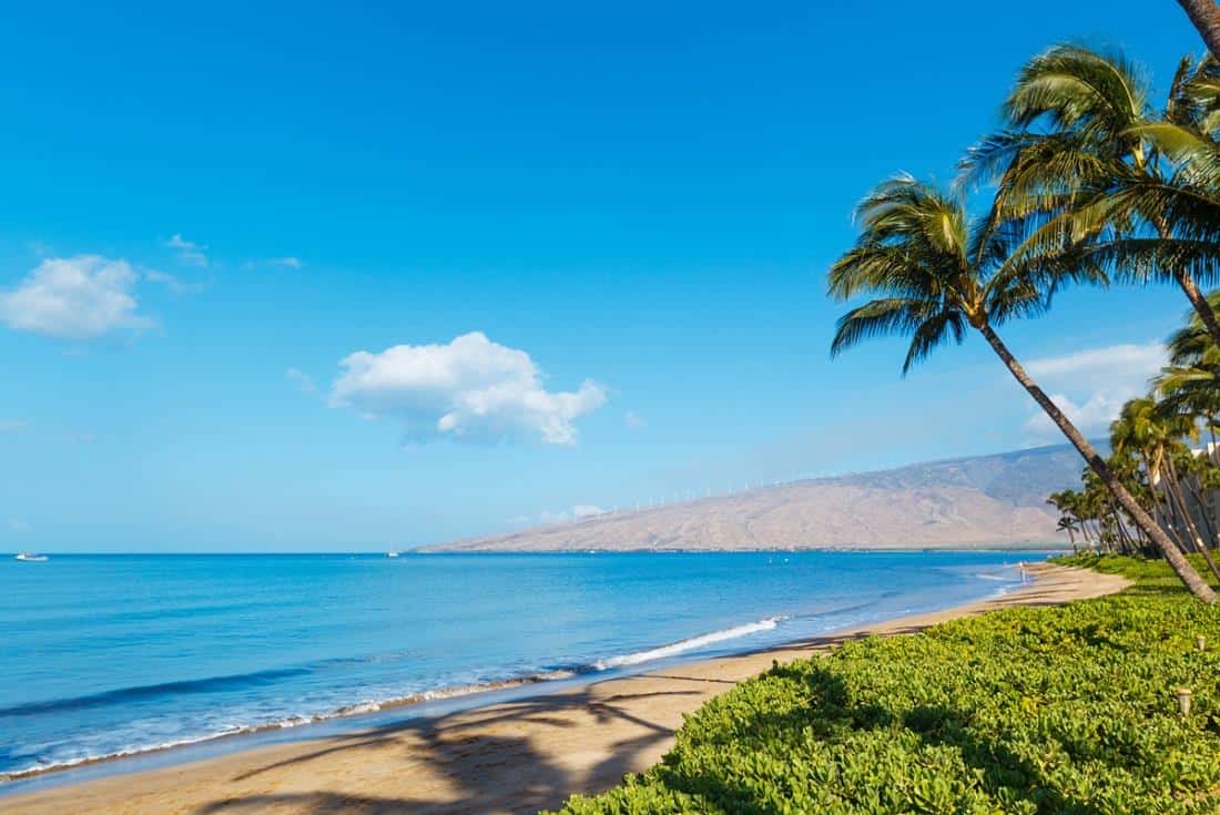 Lowest priced Beachfront condo (FS) in South Maui. Kihei Kai #16 for sale. Incredible buy! Call today for more info. 808-276-1832 or 808-280-1951