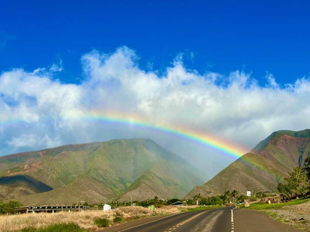 Lahaina strong Maui strong