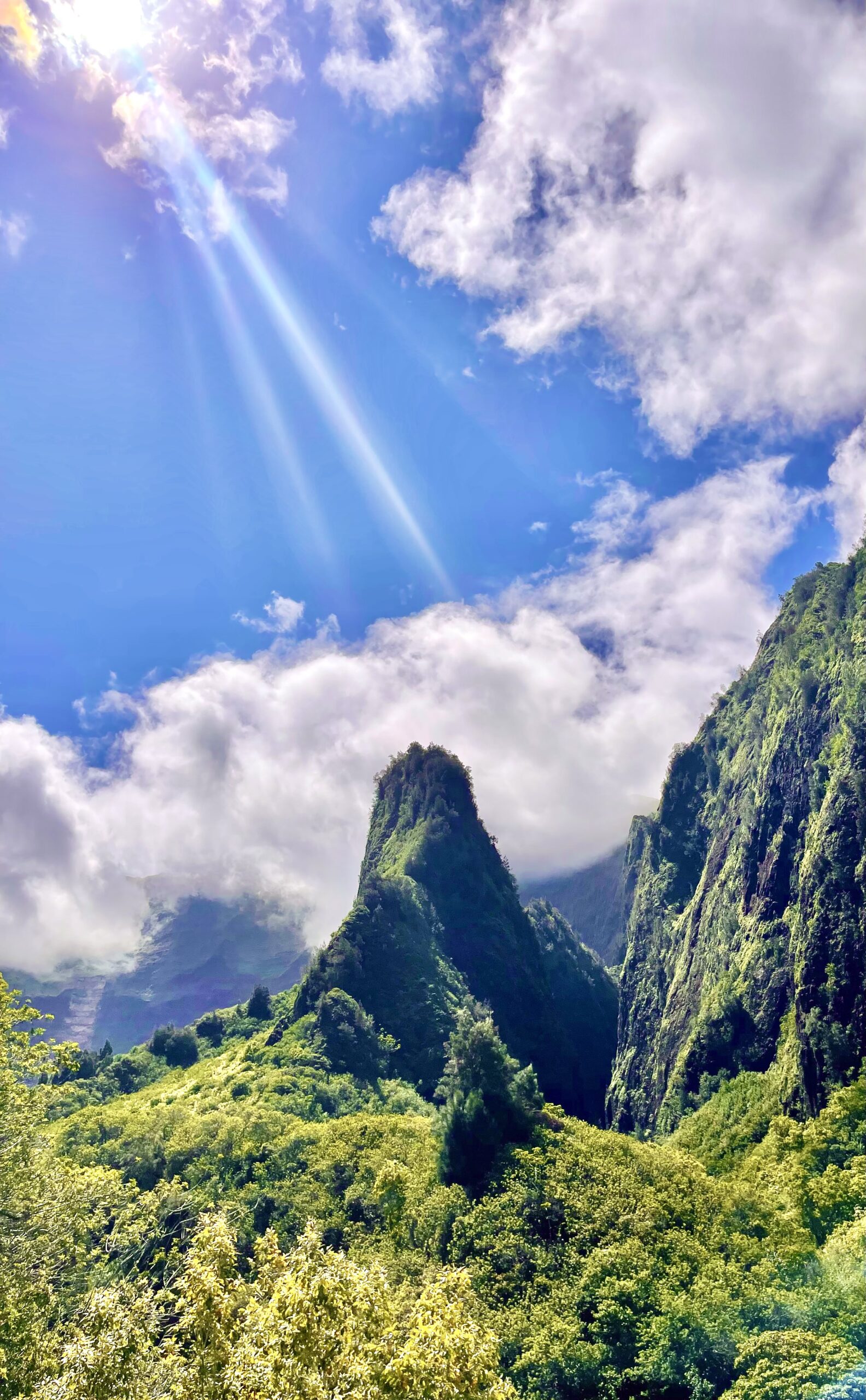 Maui Luxury Real Estate Market Update – April 2025 | Homes $2.5M+ & Condos $1.5M+