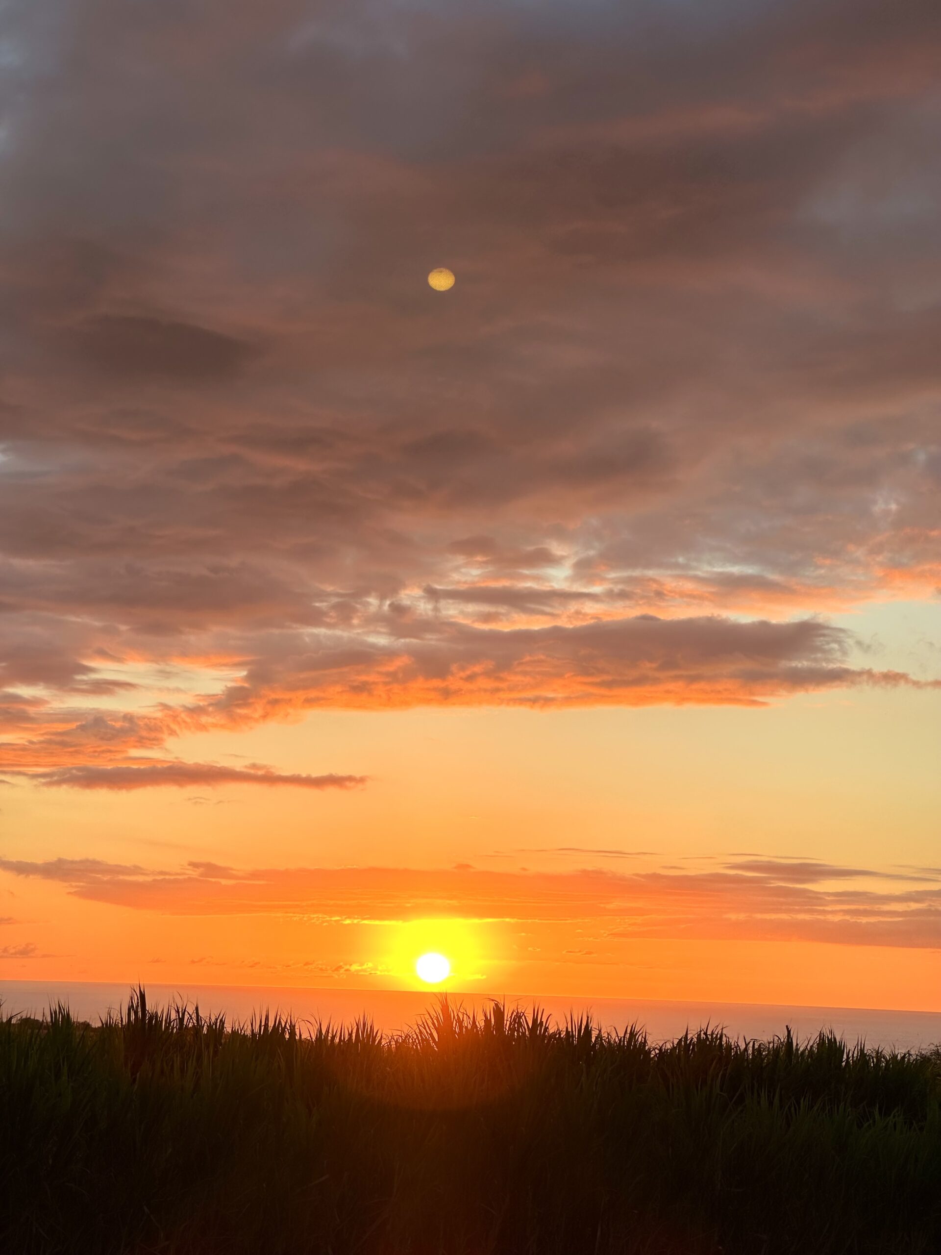 MAUI SUNSETS, MAUI REAL ESTATE MARKET REPORT