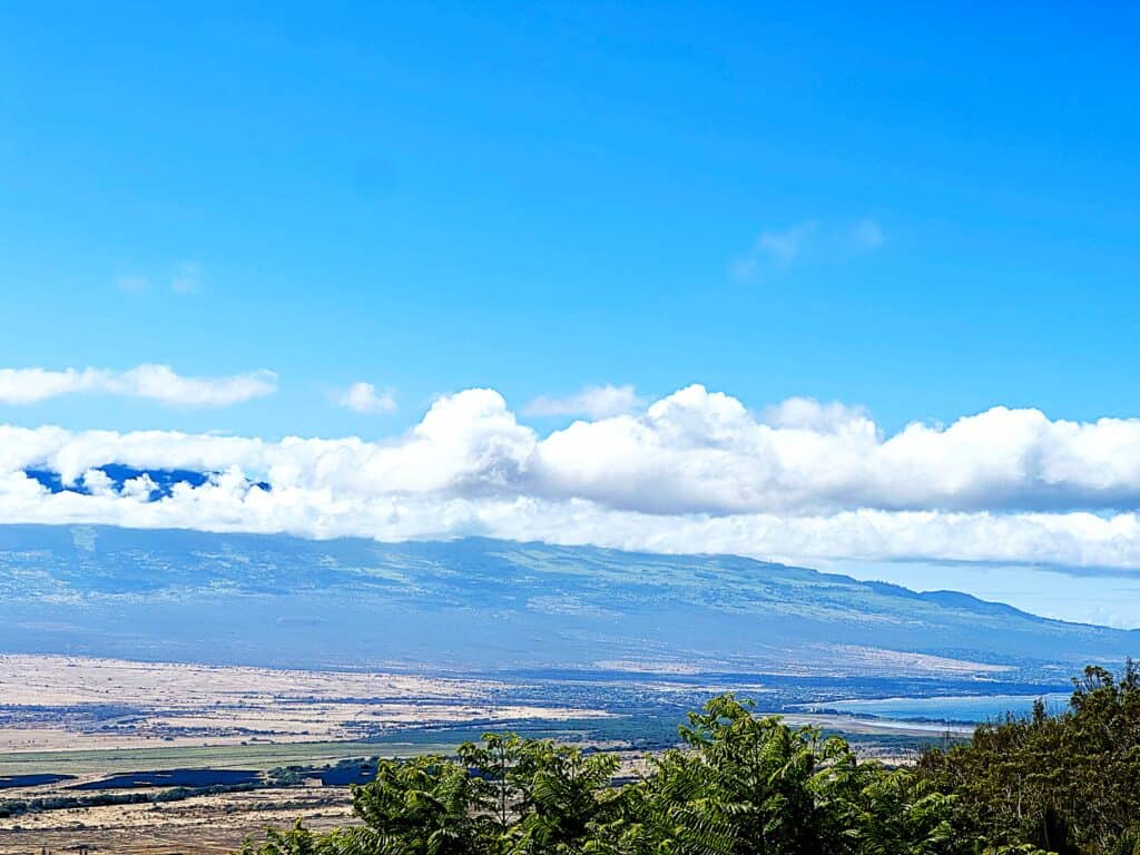 596 kuikahi view of south shore