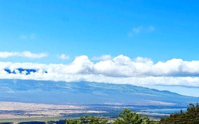 Your Private Gated Oasis in Wailuku Heights | Maui Home for Sale