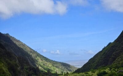 Buyer’s vs. Seller’s Market: What It Means for You in Today’s Maui Real Estate Climate