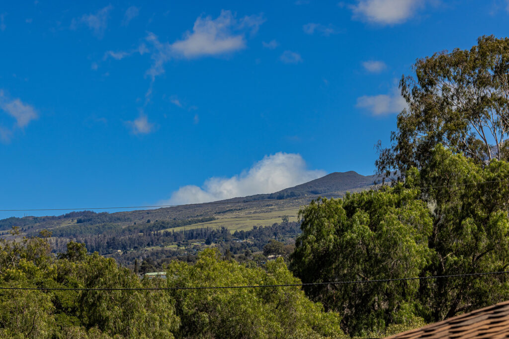 1350 Naalae-MAUI HOME WITH OCEAN VIEWS