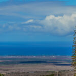 1350 Naalae-Kula home for sale with ocean views