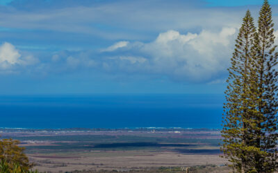A Rare Upcountry Maui Retreat: 4 Structures, 2+ Acres, Workshop & Mountain-to-Ocean Views